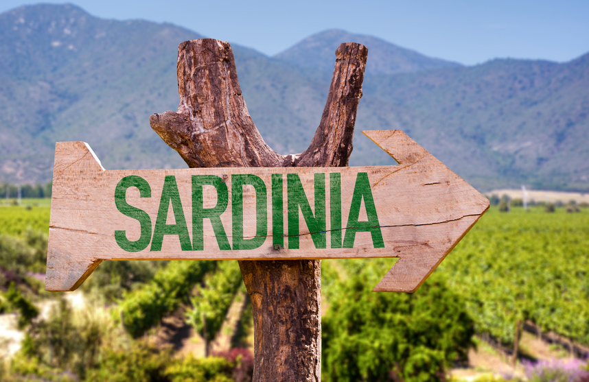 The best white and red wines of Sardinia to learn about and taste